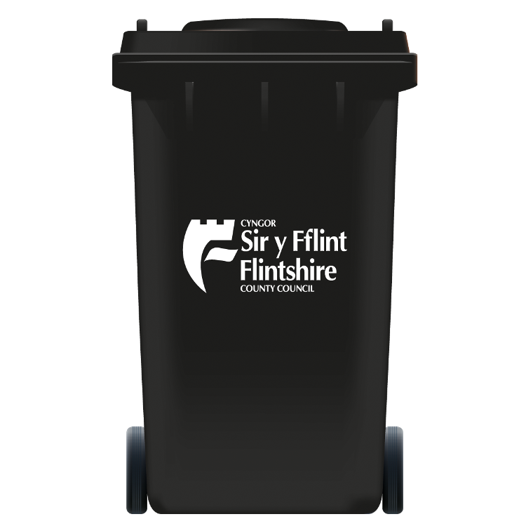 Black Bin