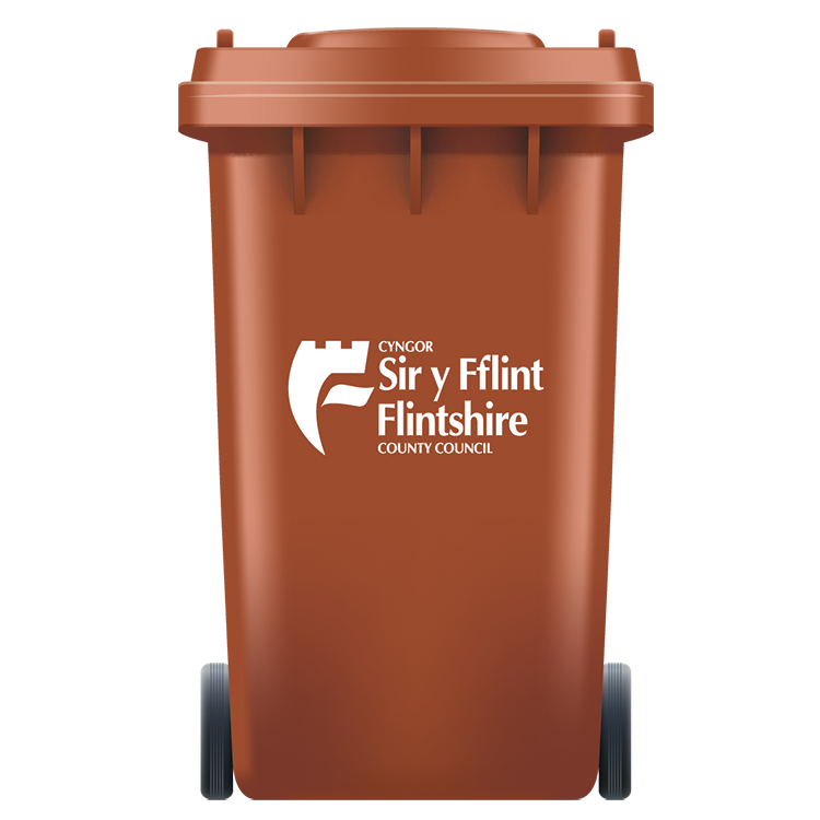 Brown Bin